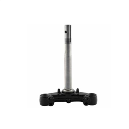 SPONTİNİ ÖN MAŞA